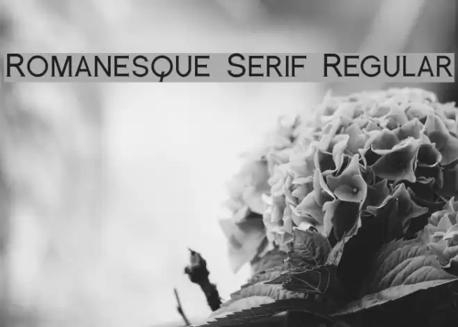 Romanesque Serif Regular Font examples