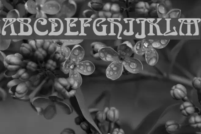 Romaneste Regular Font examples