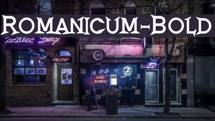Romanicum-Bold Font examples