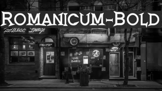 Romanicum-Bold Font examples
