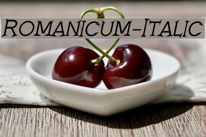 Romanicum-Italic Fuentes examples