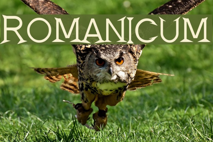 Romanicum Font examples