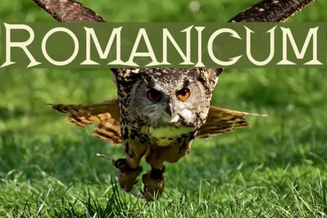 Romanicum Example 1
