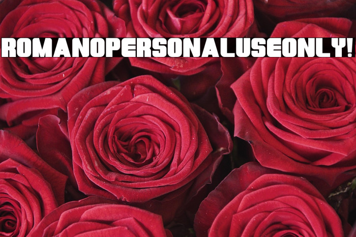 Romano PERSONAL USE ONLY! Example 2