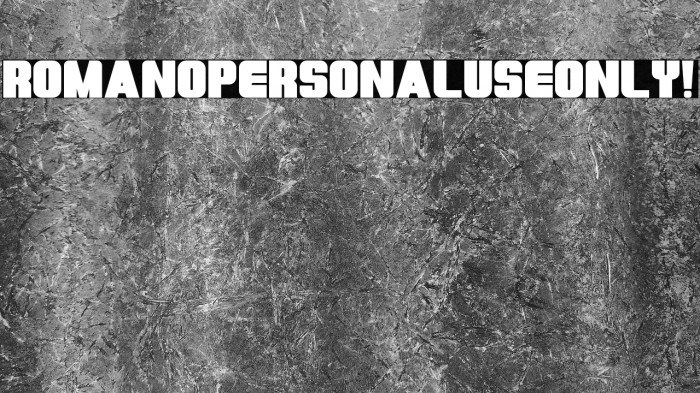 Romano PERSONAL USE ONLY! Example 3