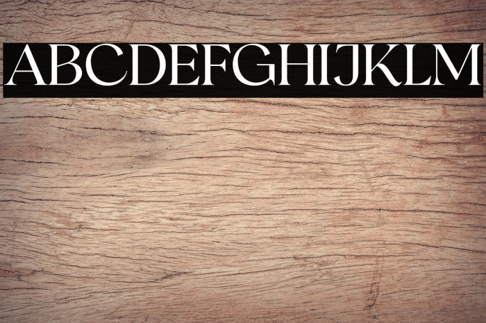 RomansStoryDemo Example 2