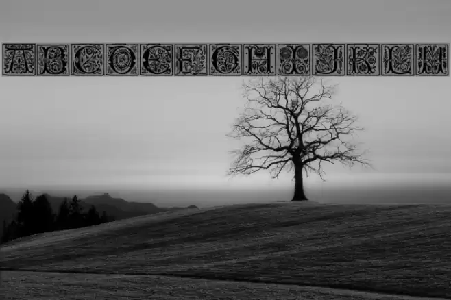 Romant Font examples