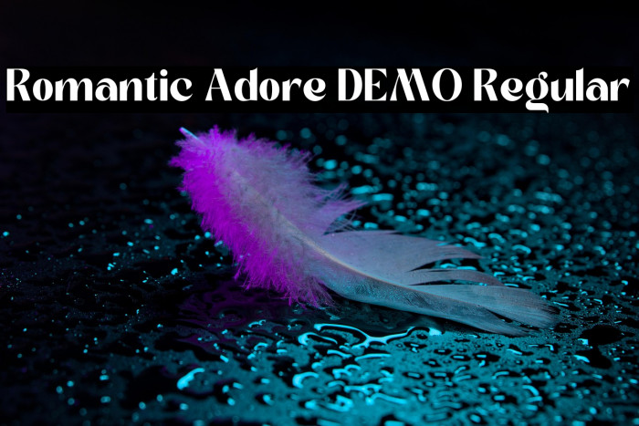 Romantic Adore DEMO Regular Example 2