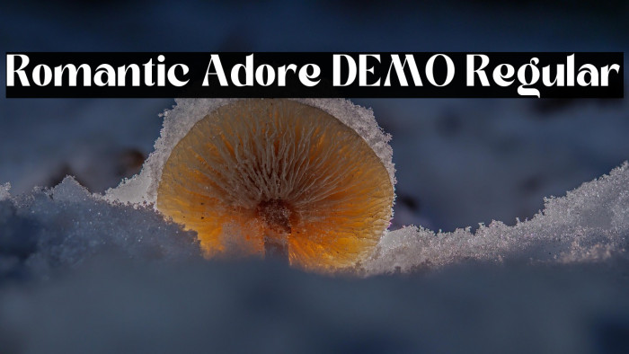 Romantic Adore DEMO Regular Example 3