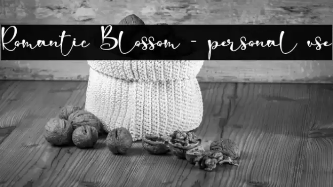 Romantic Blossom - personal use Font examples