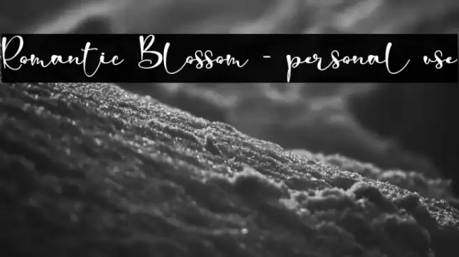 Romantic Blossom - personal use Font examples