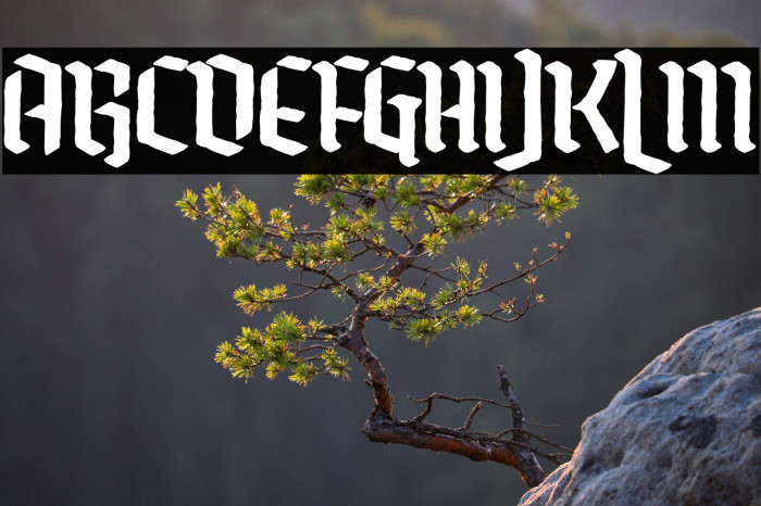 Romantic Chemicals Example 2