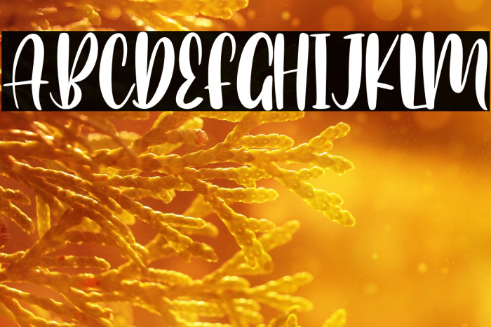 Romantic Chicago Example 2