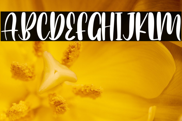 Romantic Chicago Example 3