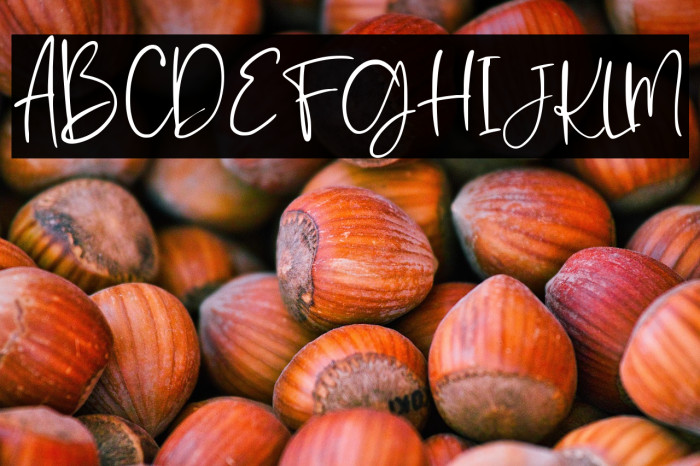 Romantic Collection Regular Example 2