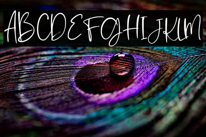 Romantic Collection Regular Example 3