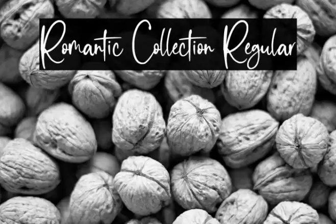 Romantic Collection Regular Font examples