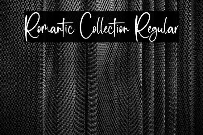 Romantic Collection Regular Font examples