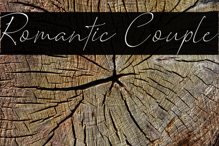 Romantic Couple Font examples