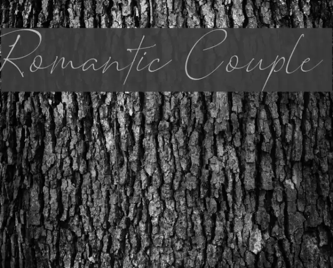Romantic Couple Font examples