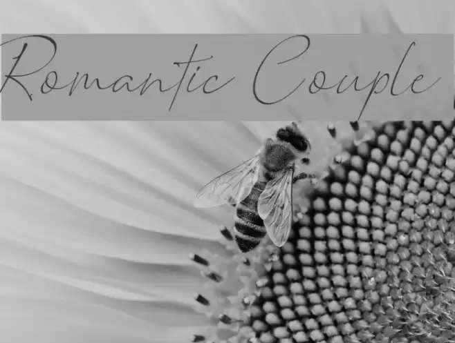 Romantic Couple Font examples