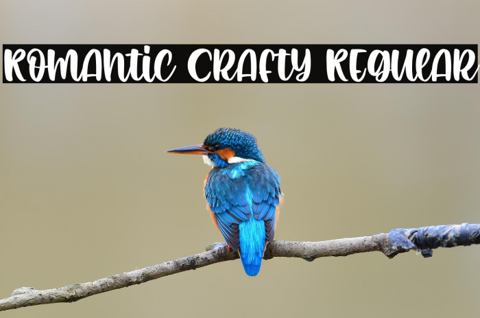 Romantic Crafty Regular Example 2