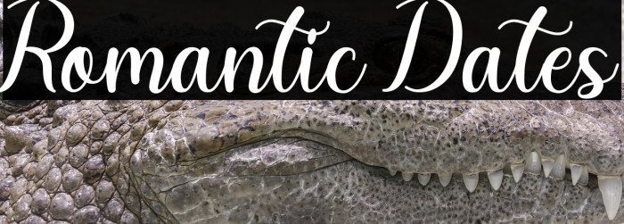 Romantic Dates Example 3