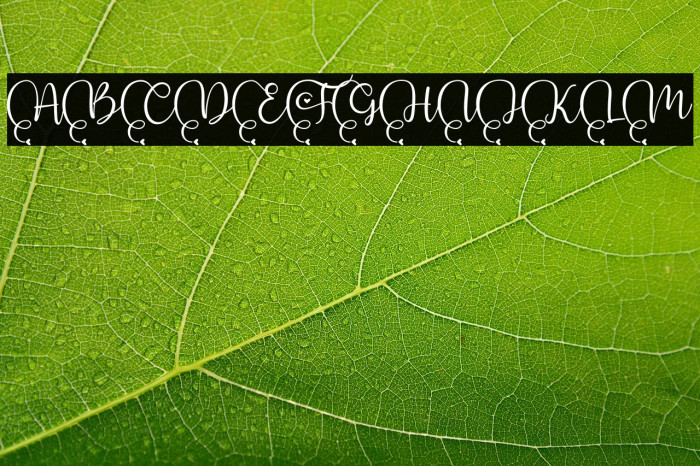 Romantic Fantasy Example 1