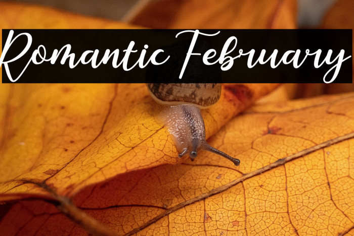 Romantic February Example 3