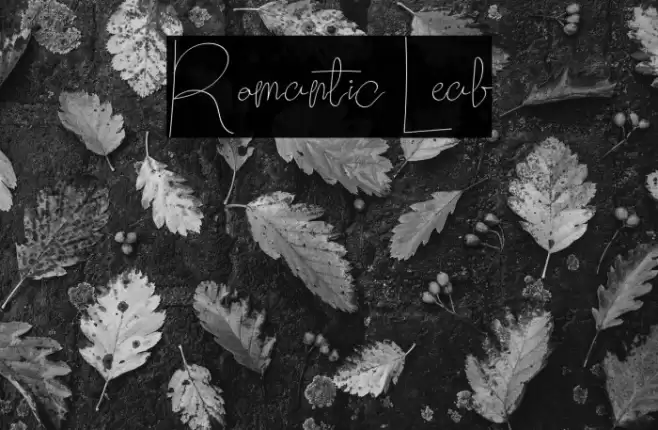 Romantic Leaf फ़ॉन्ट examples