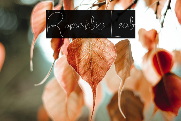 Romantic Leaf Example 2