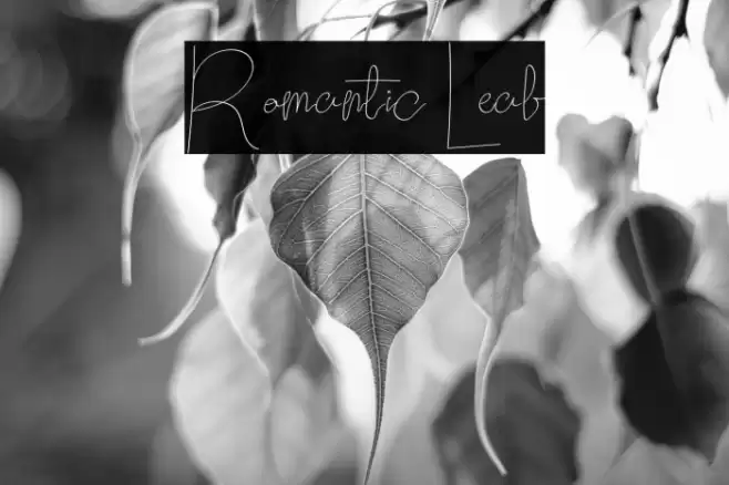 Romantic Leaf फ़ॉन्ट examples