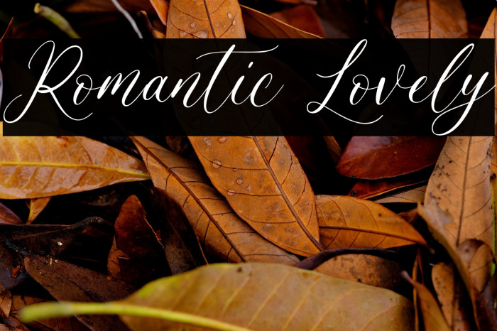 Romantic Lovely Example 1