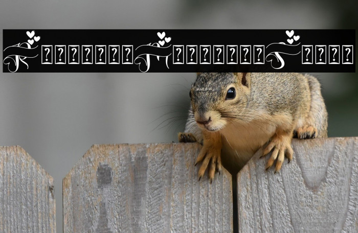 Romantic Monogram Style Example 3