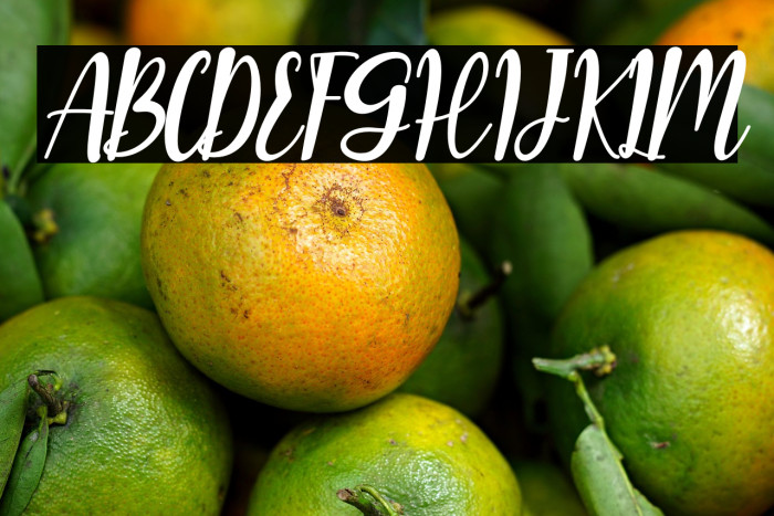 Romantic Robusta Example 1