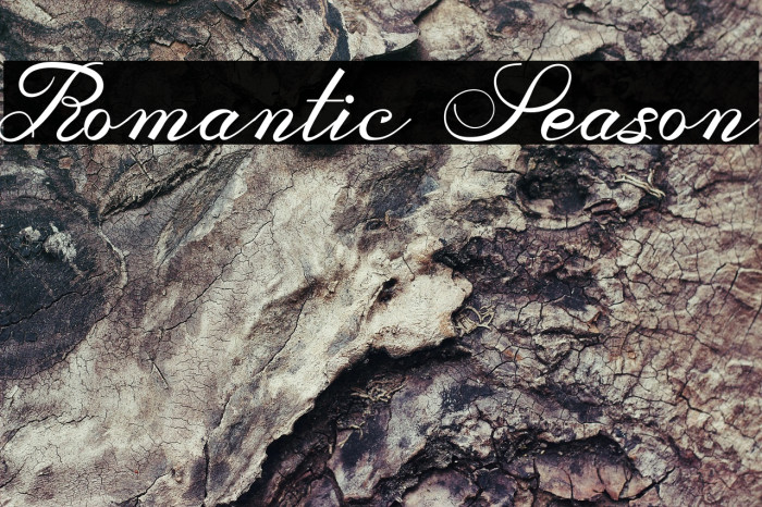 Romantic Season Example 1