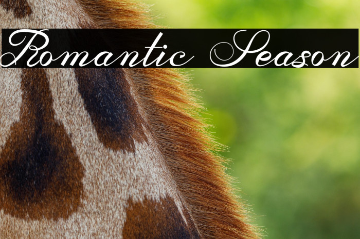 Romantic Season Example 3