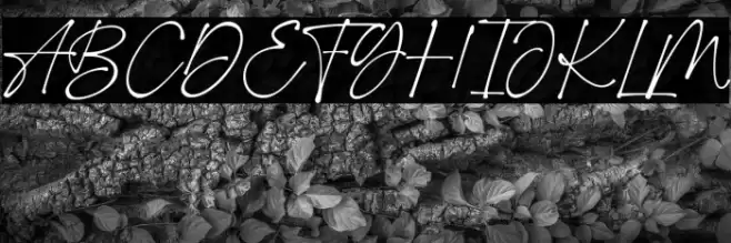 Romantic Signature Font examples