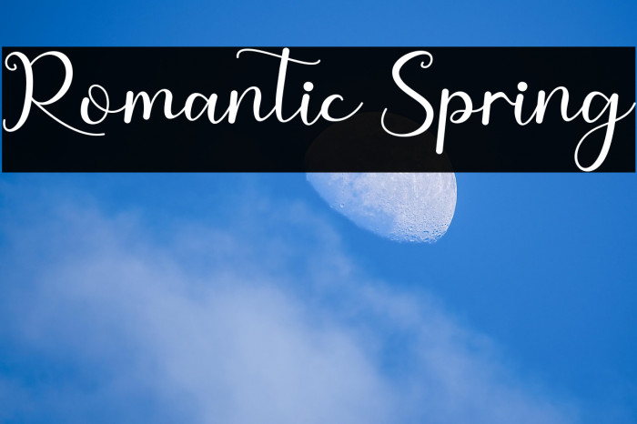 Romantic Spring Example 2