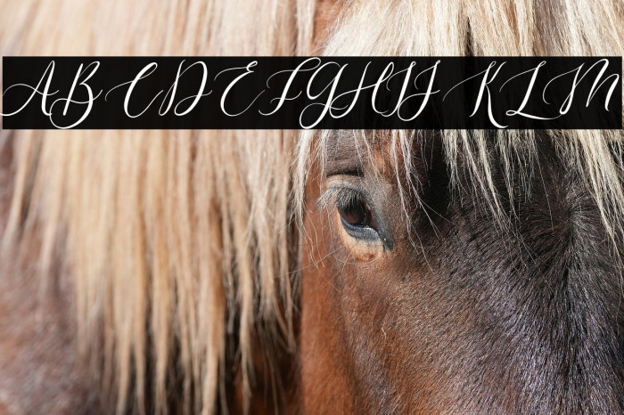 Romantic Sunday Example 1