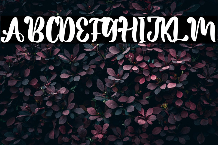 Romantic Valentine Example 3