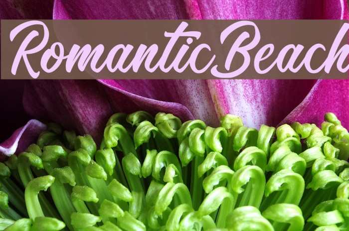 RomanticBeach Example 1