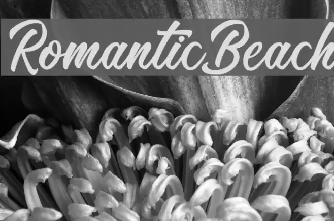 RomanticBeach Font examples