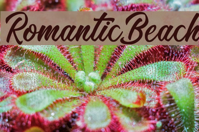 RomanticBeach Example 3