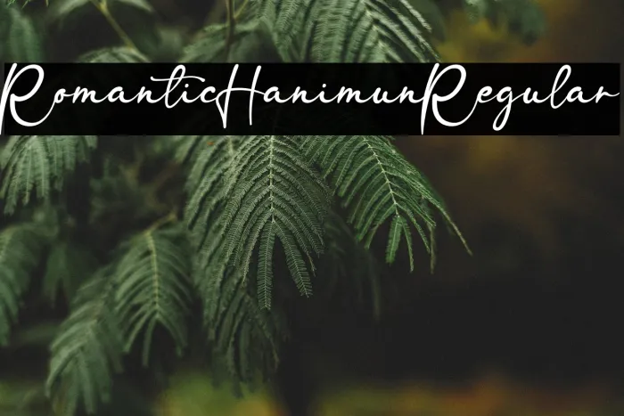 RomanticHanimunRegular Example 1