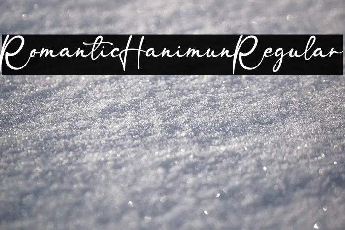 RomanticHanimunRegular Example 3