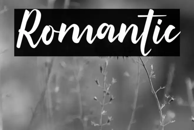 Romantic Font examples