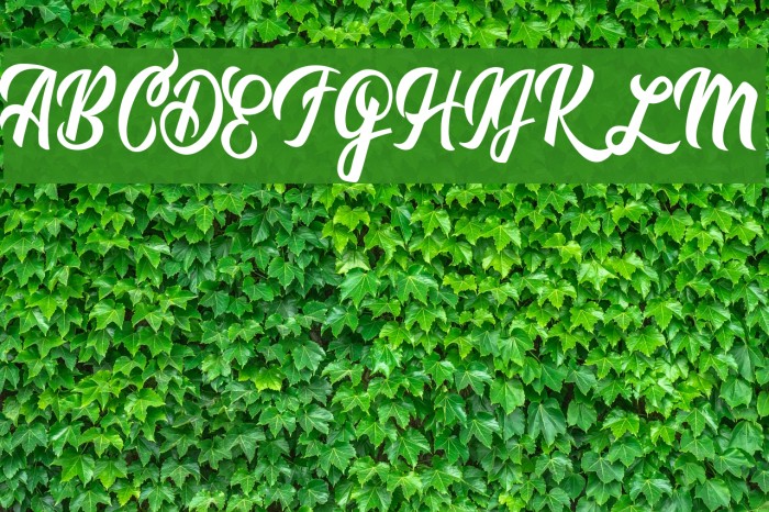 Romantica Personal Use Шрифта examples