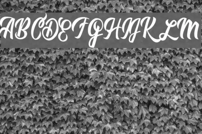 Romantica Personal Use Font examples