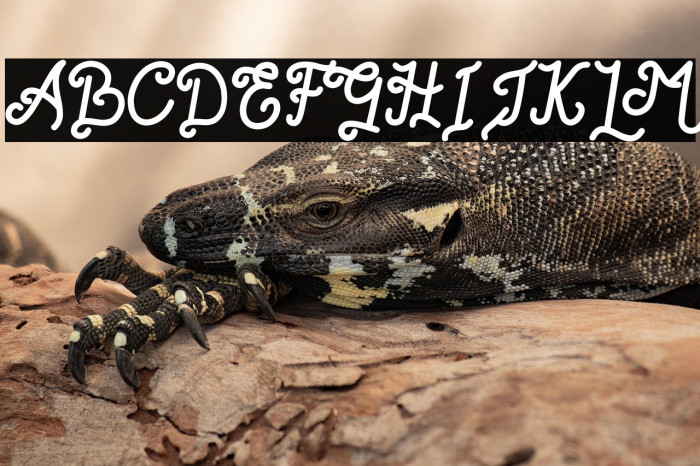 Romantica Story Free For Person Example 1